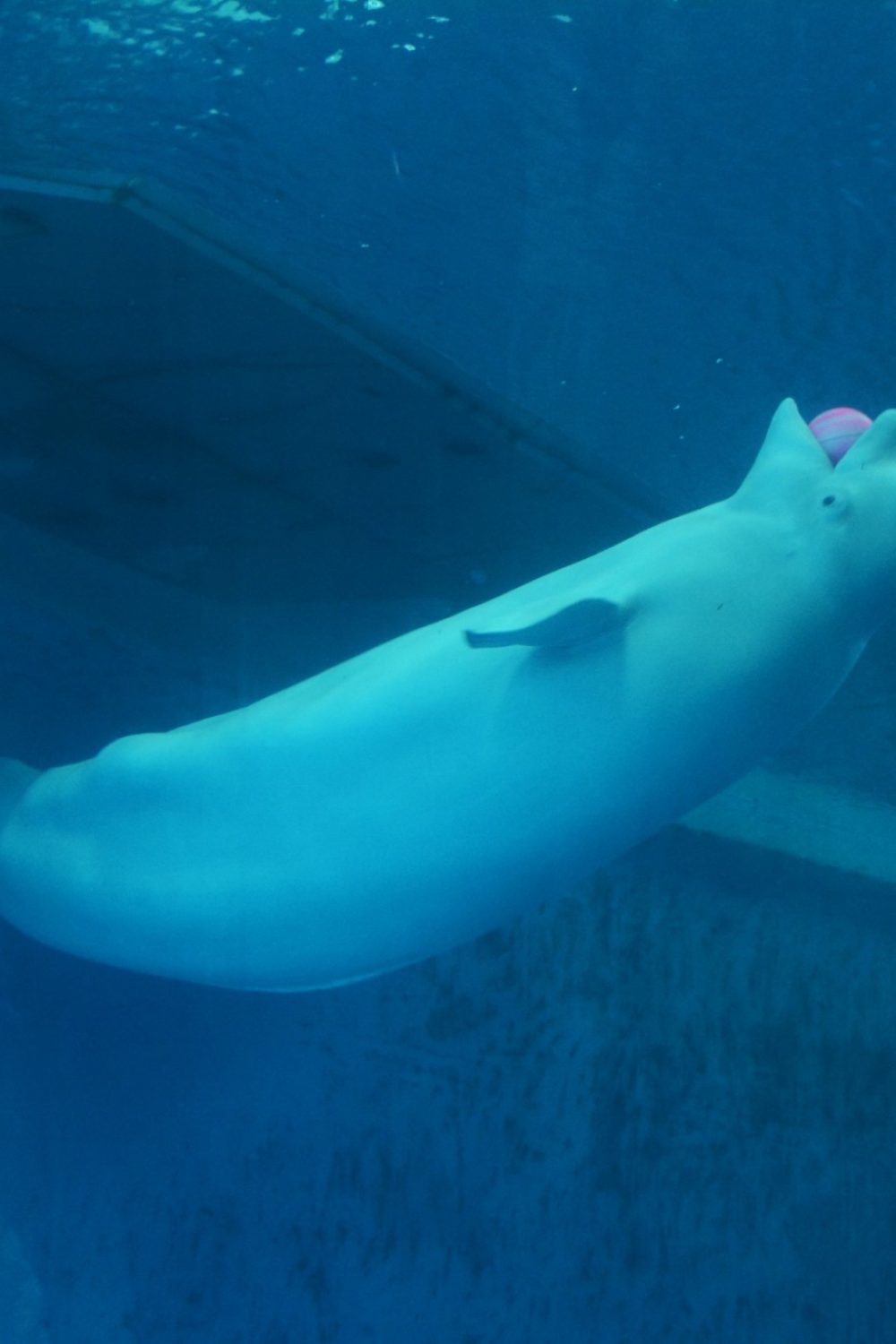 LINE_ALBUM_2024.3.31南區家庭休閒活動 相片一籮筐_240403_22